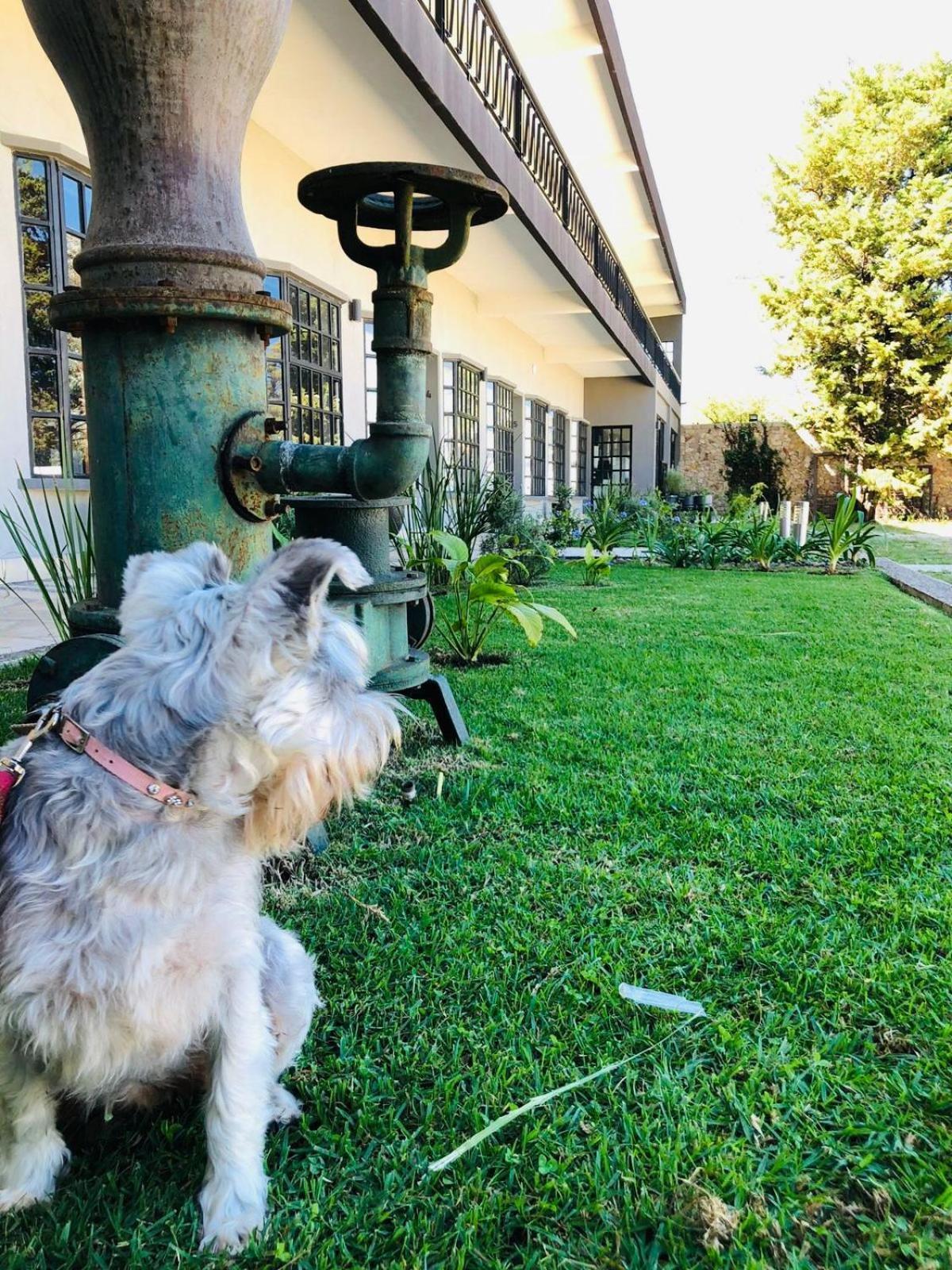 Hotel Rocaval San Cristóbal de Las Casas Exteriör bild